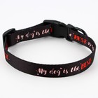 Ошейник My dog is the best, застёжка - фастекс, 2 см 25-40 см - Фото 5