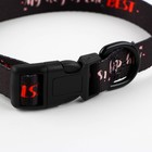 Ошейник My dog is the best, застёжка - фастекс, 2 см 25-40 см - Фото 6