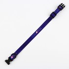 Ошейник COSMO DOG, застёжка - фастекс, 2 см 25-40 см 7649703 - фото 16255554