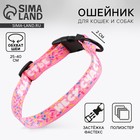Ошейник «Несу счастье», застёжка - фастекс, 2 см 25-40 см - Фото 1