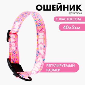 Ошейник «Несу счастье», застёжка - фастекс, 2 см 25-40 см