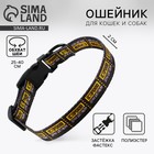 Ошейник «Осторожно», застёжка - фастекс, 2 см 25-40 см - Фото 1