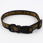 Ошейник «Осторожно», застёжка - фастекс, 2 см 25-40 см - Фото 4