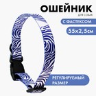 Ошейник «В гармонии с природой», застёжка - фастекс, 2.5 см, 40-55 см - Фото 1