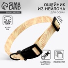 Ошейник Paradise life, застёжка - фастекс, 2.5 см, 40-55 см - Фото 1