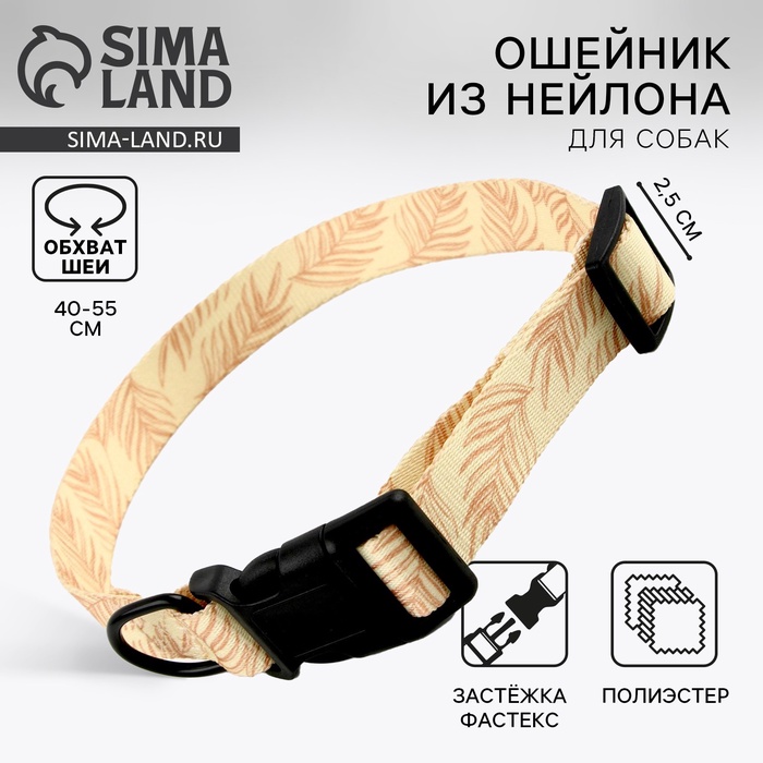Ошейник Paradise life, застёжка - фастекс, 2.5 см, 40-55 см - Фото 1