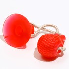 Игрушка для собак "Шар на присоске", 40 см, микс цветов 7112334 - фото 16271563