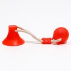Игрушка для собак "Шар на присоске", 40 см, микс цветов 7112334 - фото 16271565