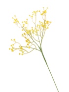 Цветы искусственные «Гипсофила хлопчатая», h=60 см, жёлтые  (артикул 7441995)  большой выбор товаров оптом и в розницу по низким ценам с доставкой