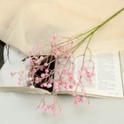 Цветы искусственные "Гипсофила хлопчатая" 60 см, розовый - фото 318872722