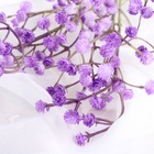 Цветы искусственные "Гипсофила хлопчатая" 60 см сиреневый - фото 809298956