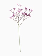 Цветы искусственные "Гипсофила хлопчатая" 60 см сиреневый - фото 809298957
