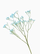 Цветы искусственные «Гипсофила хлопчатая», h=60 см, бирюзовые 7441998