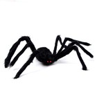 Прикол «Паук» - Фото 1