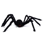 Прикол «Паук» - Фото 2