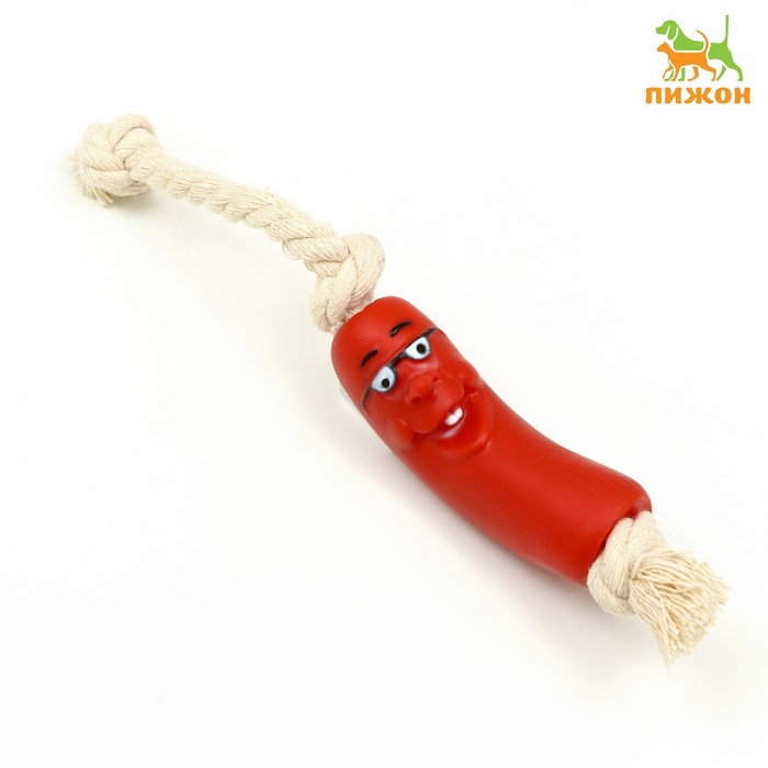 Игрушка "Сосиска в очках на верёвке" для собак, 14 см - Фото 1