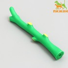 Игрушка пищащая "Ветка" для собак, 21,5 см, зелёная - фото 6599128