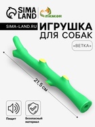 Игрушка пищащая «Ветка» для собак, 21.5 см, зелёная - Фото 1