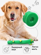 Игрушка пищащая «Ветка» для собак, 21.5 см, зелёная - Фото 2