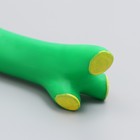 Игрушка пищащая "Ветка" для собак, 21,5 см, зелёная - Фото 3