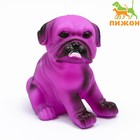 Игрушка пищащая "Маленький друг" для собак, бульдог, 9 см, фиолетовая - фото 6599136