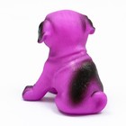 Игрушка пищащая "Маленький друг" для собак, бульдог, 9 см, фиолетовая - Фото 2