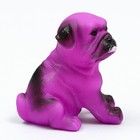 Игрушка пищащая "Маленький друг" для собак, бульдог, 9 см, фиолетовая - фото 6599138