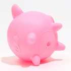 Игрушка пищащая "Свинюшка" для собак, 11,4 х 10 х 10 см, розовая - Фото 4