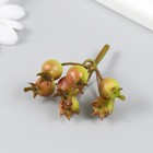 Декор для творчества "Ирга зелёно-бурая" 5,5 см (комплект 2 шт) - фото 22471829