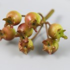 Декор для творчества "Ирга зелёно-бурая" 5,5 см (комплект 2 шт) - фото 22471830