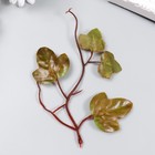 Декор для творчества "Виноградные листья красно-зелёные" 16,5 см - фото 318872875
