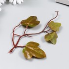 Декор для творчества "Виноградные листья красно-зелёные" 16,5 см - Фото 2