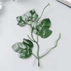 Декор для творчества "Виноградные листья зелёные" 16,5 см - фото 318872878