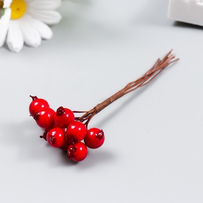 Декор для творчества «Ягодки красные», 1 букет=10 ягод, d=1 см, 10 см