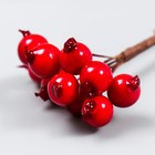 Декор для творчества «Ягодки красные», 1 букет=10 ягод, d=1 см, 10 см (комплект 2 шт) - фото 21585496