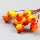 Декор для творчества "Ягодки красно-оранжевые" 1 букет=10 ягод d=1 см 10 см - Фото 3