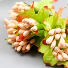 Цветы для декорирования "Паслен жасминовидный" 1 букет=10 цветов персиковый 9,5 см - фото 9765067