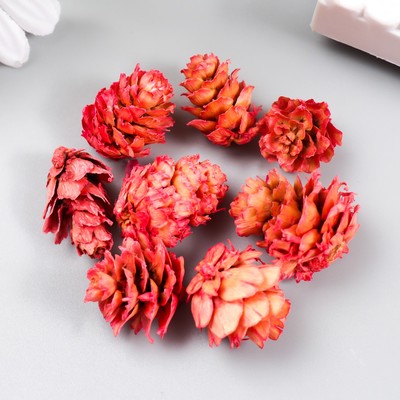 Декор для творчества «Шишка сосновая розовая» размер 2-4 см