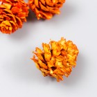 Декор для творчества "Шишка сосновая оранжевая" размер 2-4 см (комплект 8 шт) - фото 21585532