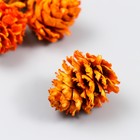 Декор для творчества "Шишка сосновая оранжевая" размер 2-4 см (комплект 8 шт) - фото 21585533