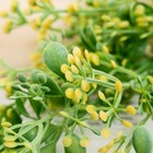 Декор "Тласпи" 47 см, жёлтый (комплект 2 шт) - фото 24239354