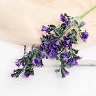 Цветы искусственные "Колокольчик сибирский" 45 см, фиолетовый - фото 9722270
