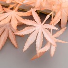 Декор "Звёздный анис" 60 см, коралловый - фото 24686150