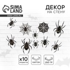 Декор на стену «Для самой жуткой вечеринки», пауки, набор 10 шт. - Фото 1