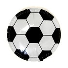 Парящий шар «Футбольный мяч», 45 см, цвет чёрный - фото 9722460