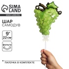 Воздушный шар фольгированный - самодув 9" «Виноград», с палочкой - Фото 1