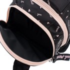 Рюкзак школьный 40 х 26 х 19 см, эргономичная спинка, Hatber Sreet "Мур-Мяу", розовый/чёрный NRk_77090 - фото 21586178