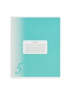 Комплект тетрадей из 10 штук, 18 листов в клетку Calligrata "Пятёрка", обложка мелованный картон, ВД-лак, блок офсет, 5 видов по 2 штуки - фото 25632089