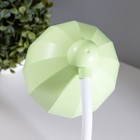 Лампа настольная RISALUX «Мини лягушонок», светодиодная, 3 режима, 6.4 Вт, USB, салатовая, 10×10×37.5 см - Фото 9