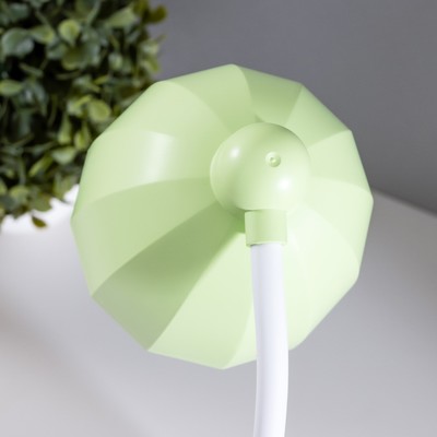 Лампа настольная «Мини лягушонок» LEd=3 режима 6.4 Вт USB салатовый 10×10×37.5 см RISALUX